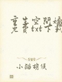 重生空间娇娇媳免费txt下载封面