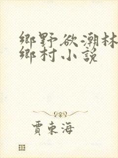 乡野欲潮林天成乡村小说