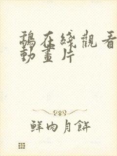 鹬在线观看免费动画片