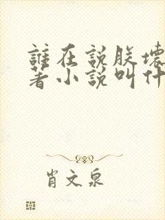 谁在说朕坏话原著小说叫什么名字封面