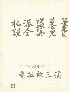 北派盗墓笔记小说全集免费看