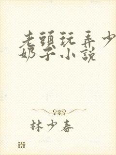 老头玩弄少妇的奶子小说