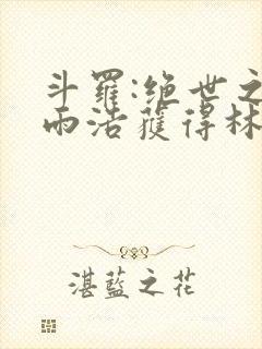 斗罗:绝世之霍雨浩获得林动传承