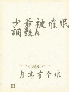 少爷被催眠玩弄调教h