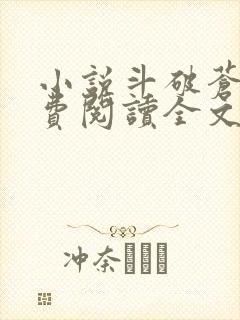 小说斗破苍穹免费阅读全文无窗口