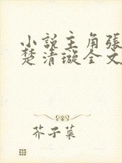 小说主角张小凡楚清璇全文阅读