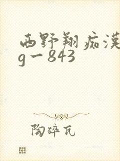 西野翔痴汉gvg一843
