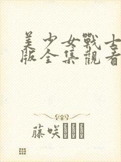 美少女战士真人版全集观看封面