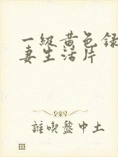 一级黄色录像夫妻生活片封面