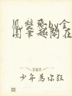 凤双飞by金刚圈笔趣阁在线阅读