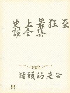 史上最狂至尊小说全集