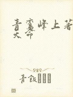 青鸾峰上著无敌天命