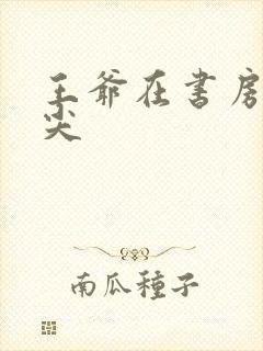 王爷在书房含乳尖