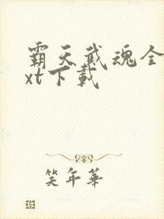 霸天武魂全文txt下载