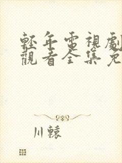 轻年电视剧在线观看全集免费播放封面