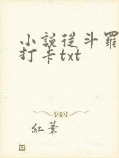 小说从斗罗开始打卡txt