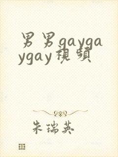 男男gaygaygay视频