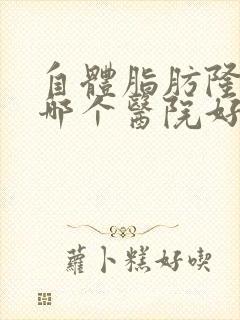 自体脂肪隆胸到哪个医院好