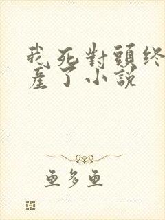 我死对头终于破产了小说