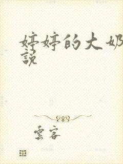 婷婷的大奶子小说