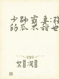 少帅霸妻:强扭的瓜不甜也得甜
