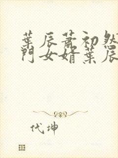 叶辰萧初然 上门女婿叶辰