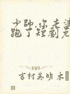 少帅,你老婆又跑了短剧免费大结局