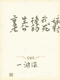 重生后我嫁给了老公的死对头 短剧