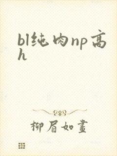 bl纯肉np高h封面