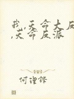 我,天命大反派,天命反派封面