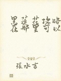 黑莲花攻略手册在哪里可以免费阅读封面