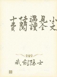 十佳遇见小说免费阅读全文