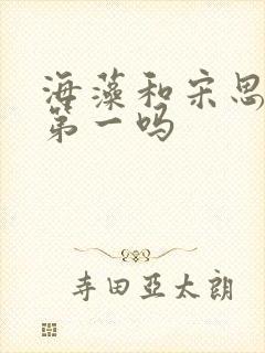 海藻和宋思明是第一吗