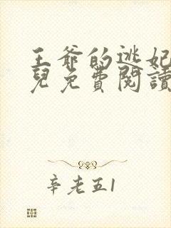 王爷的逃妃齐水儿免费阅读