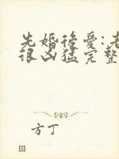 先婚后爱:老公很凶猛完整版免费阅读