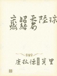 宋昭禾陆琮聿沈燃结局封面