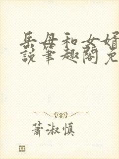 岳母和女婿的小说笔趣阁免费阅读全