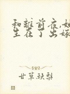 和离前夜,她重生在了出嫁前