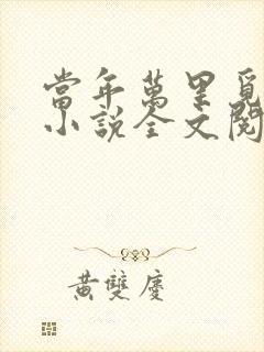 当年万里觅封侯小说全文阅读免费封面