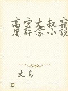 高官大叔宠妻无度许念小说