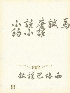 小说唐诚马玉婷的小说