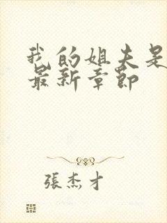 我的姐夫是太子最新章节