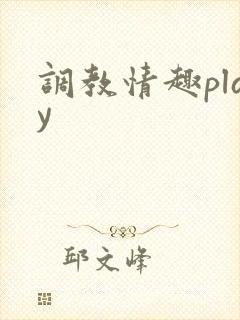 调教情趣play