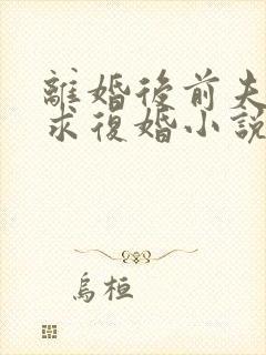 离婚后前夫哭着求复婚小说完整版