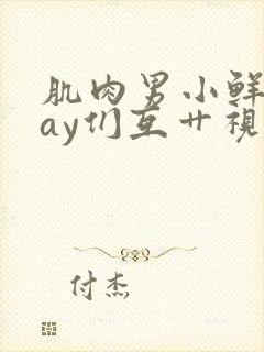 肌肉男小鲜肉gay们互艹视频封面