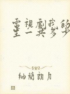 电视剧我的后半生一共多少集