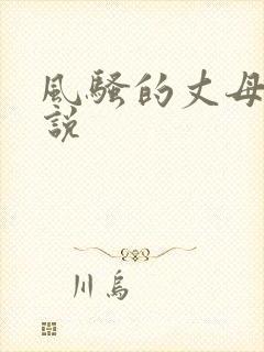 风骚的丈母娘小说