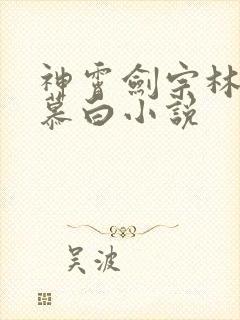 神霄剑宗林枫苏慕白小说