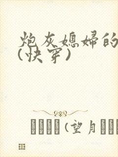 炮灰媳妇的人生(快穿)封面