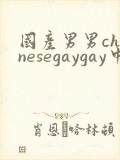 国产男男chinesegaygay中国帅哥网站